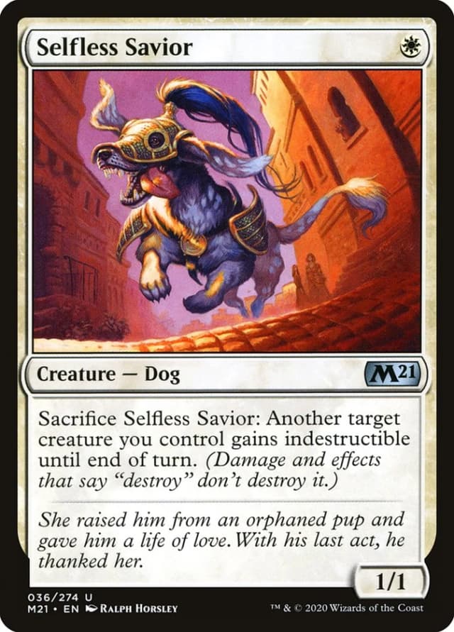 Selfless Savior image