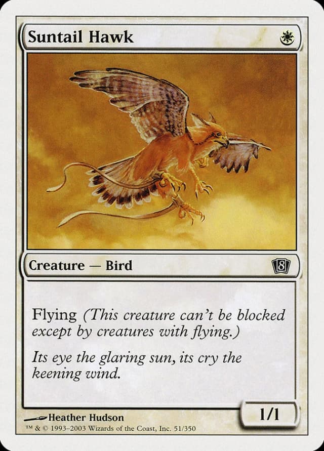 Suntail Hawk image
