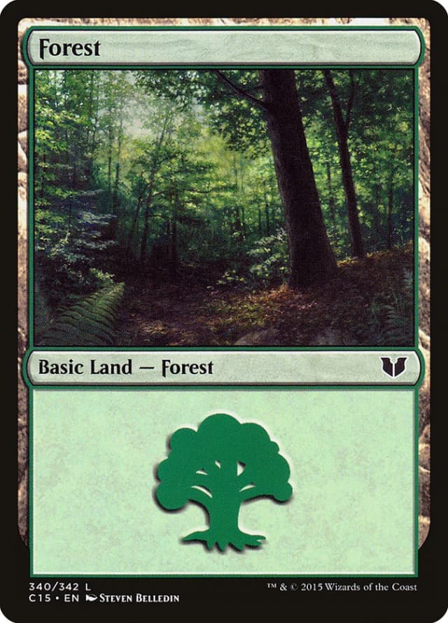 Forest image