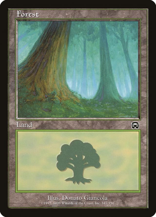 Forest image