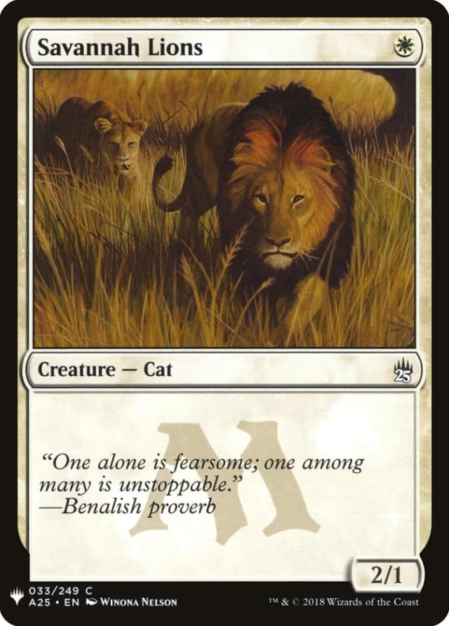 Savannah Lions image