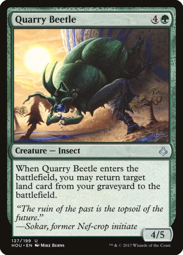 Quarry Beetle image