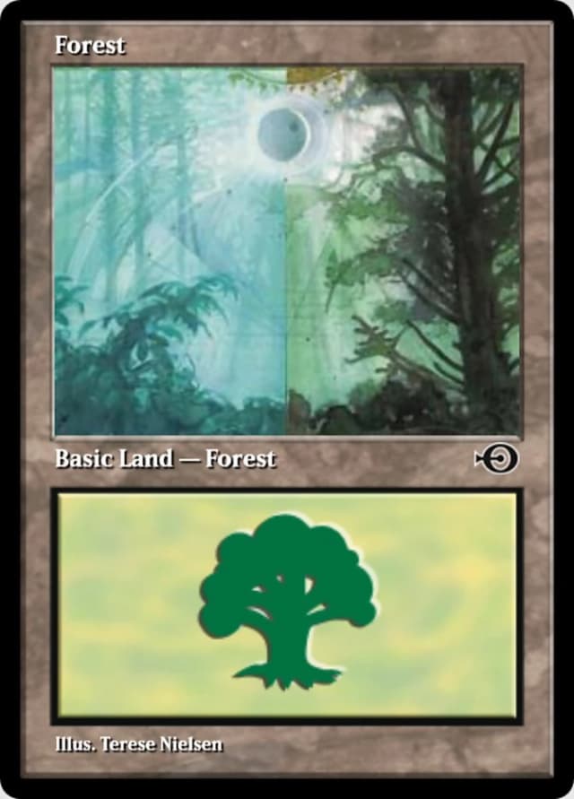Forest image