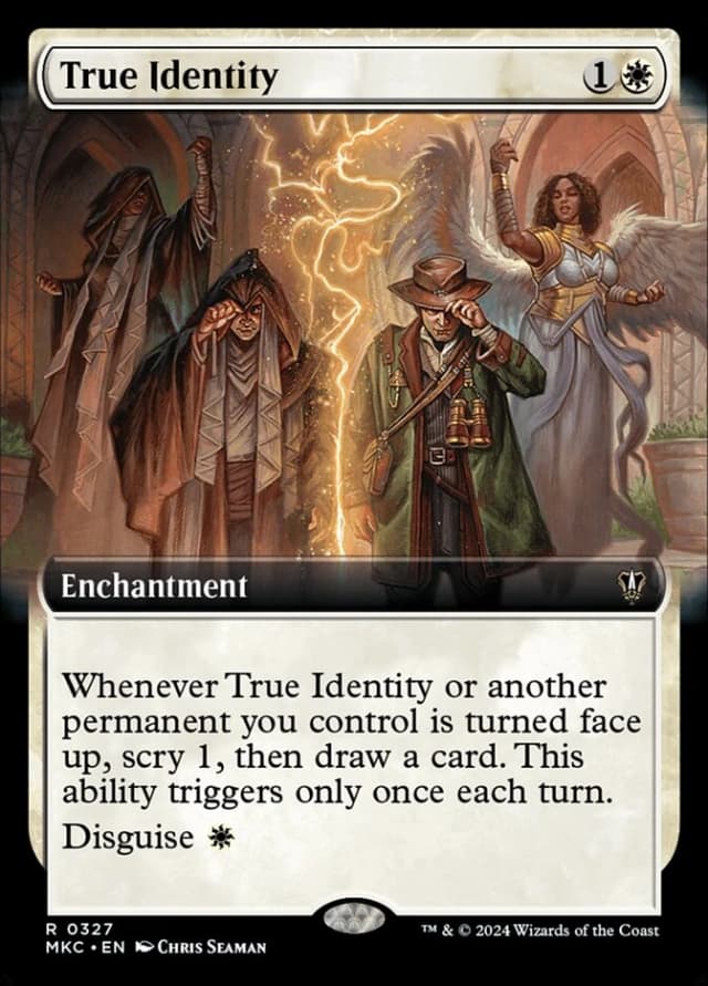 True Identity image