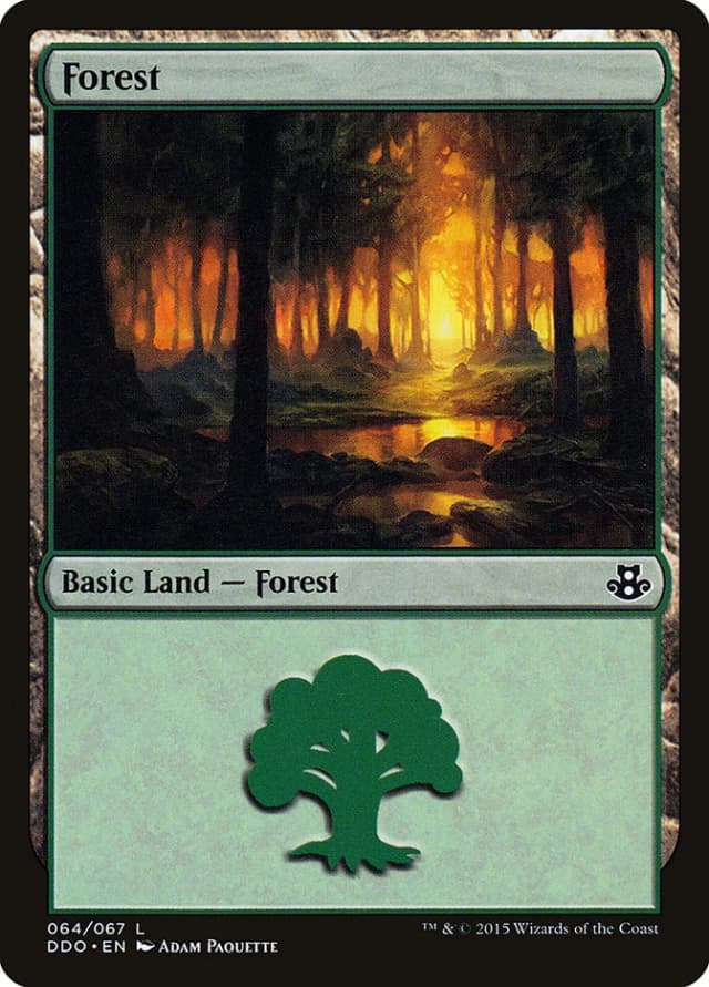 Forest image
