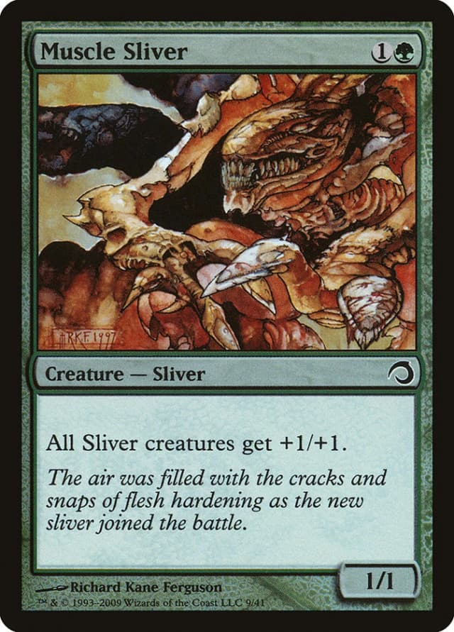 Muscle Sliver image