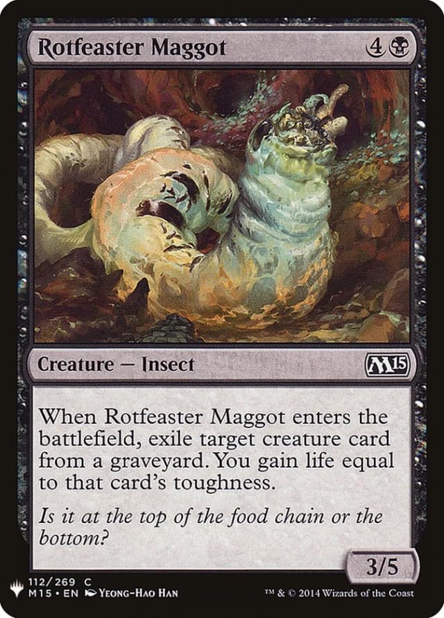 Rotfeaster Maggot image
