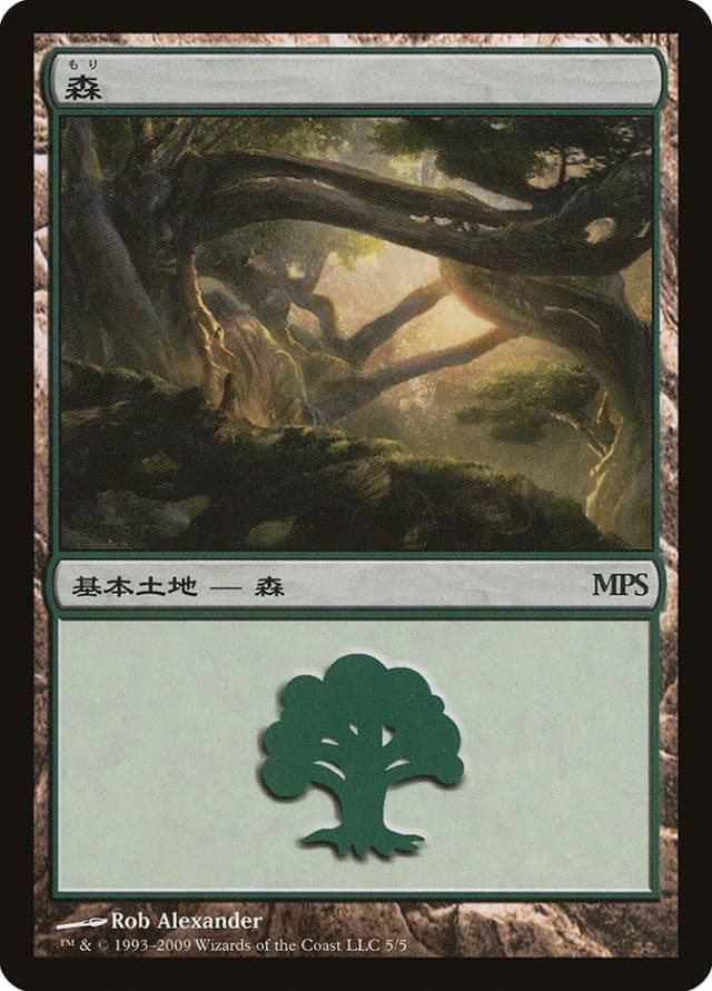 Forest image