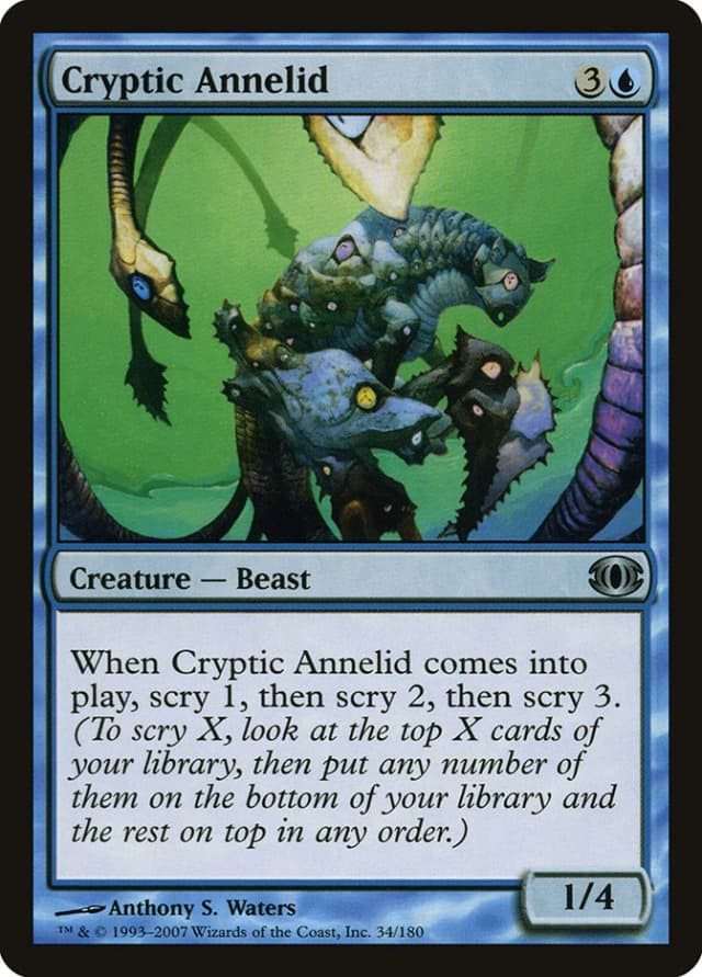Cryptic Annelid image