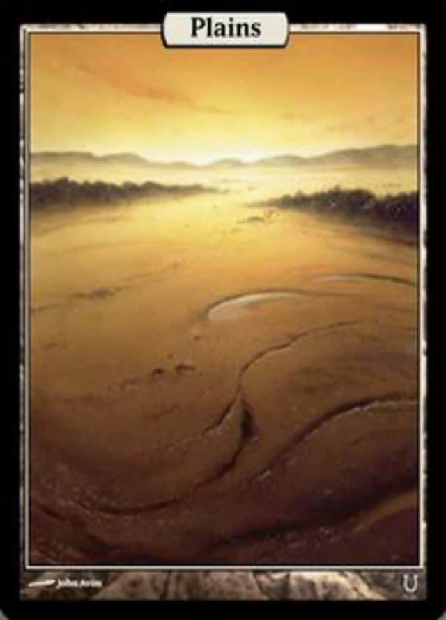 Plains image