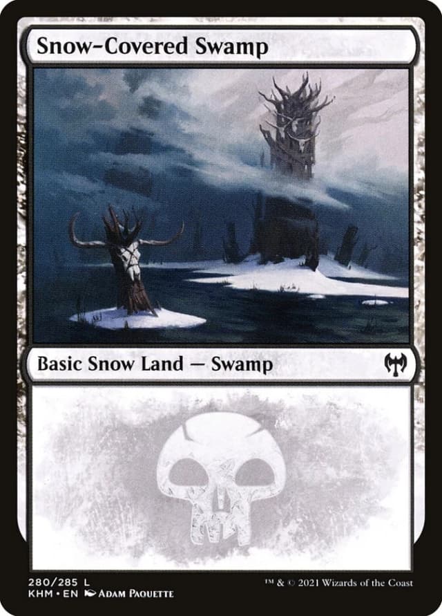 Snow-Covered Swamp image
