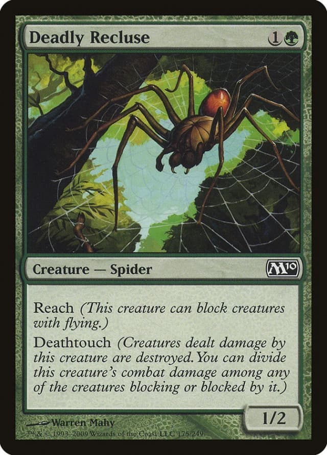 Deadly Recluse image
