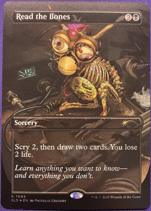 Read the Bones image