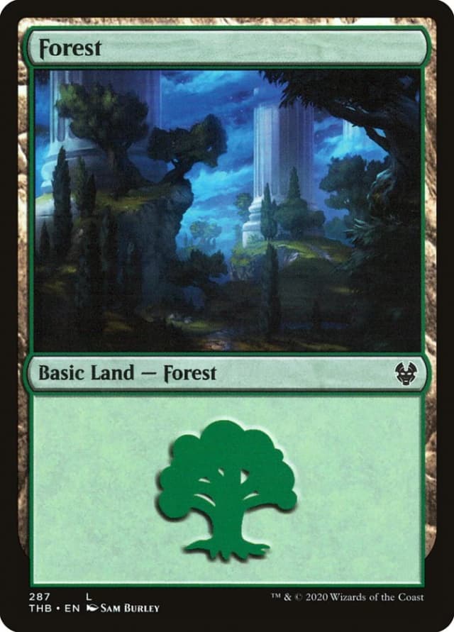 Forest image