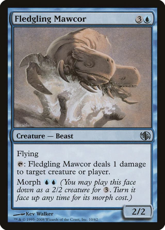 Fledgling Mawcor image