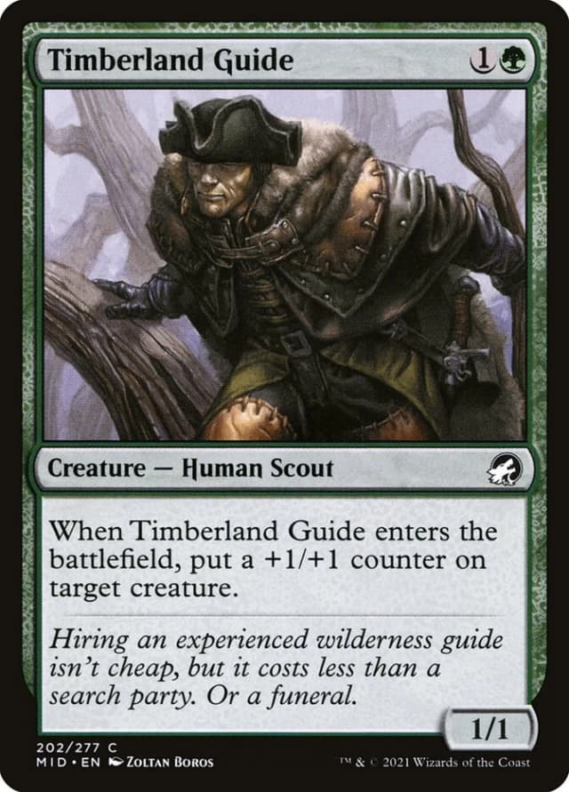 Timberland Guide image