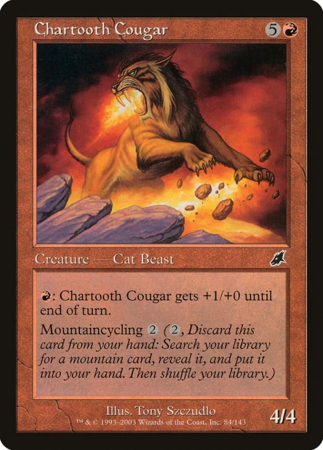 Chartooth Cougar image