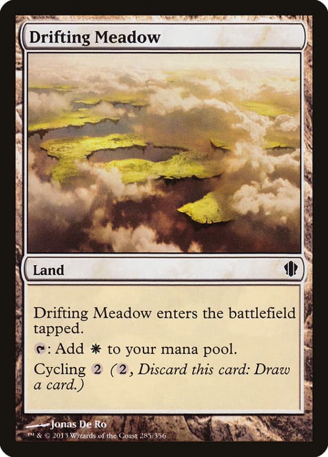 Drifting Meadow image