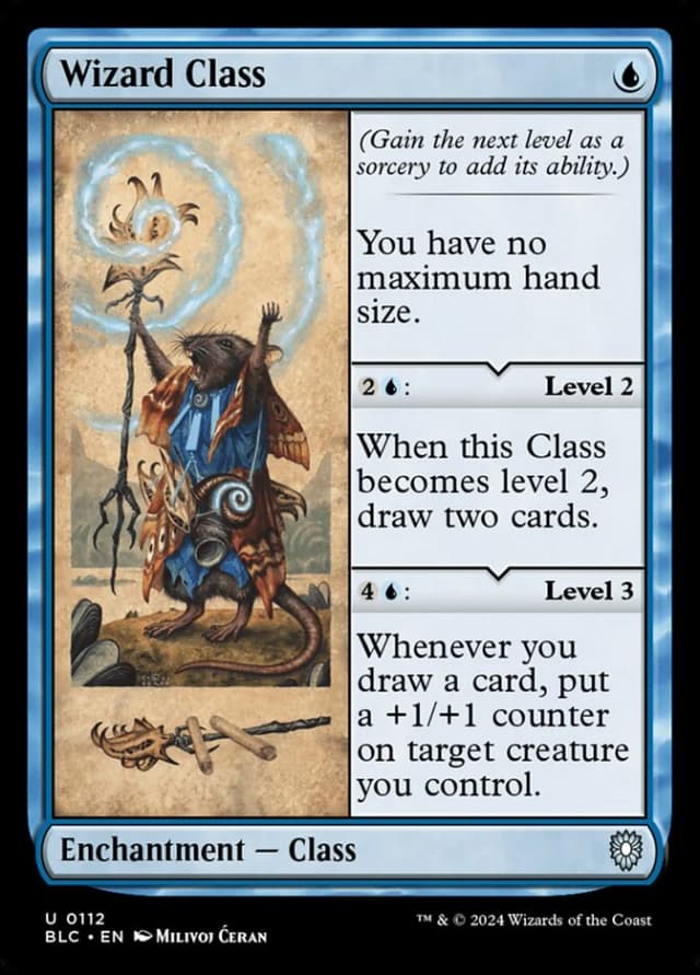 Wizard Class image