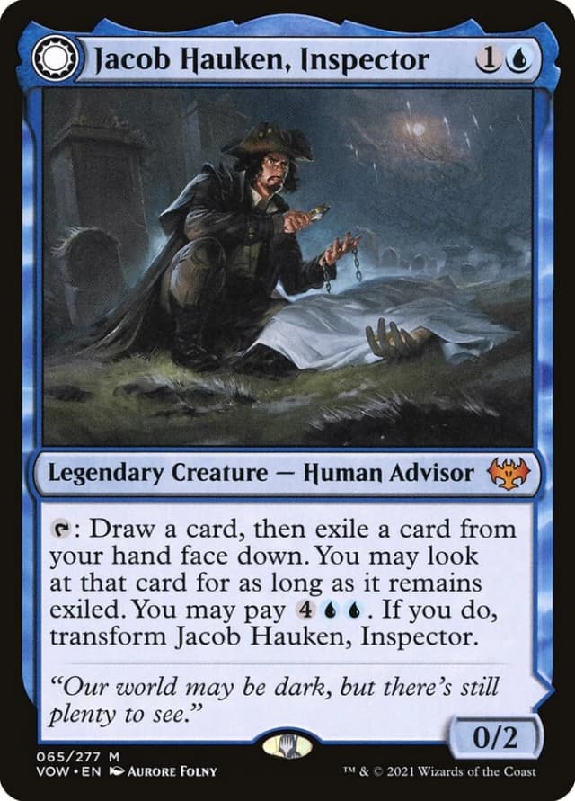 Jacob Hauken, Inspector // Hauken's Insight image