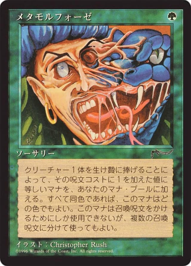 Metamorphosis image
