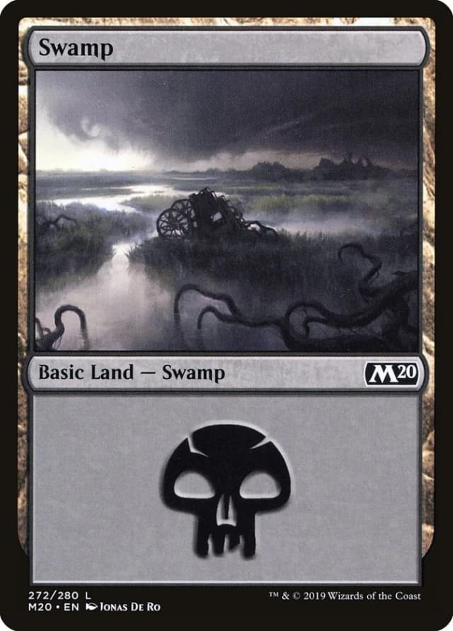Swamp image