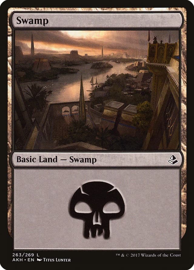 Swamp image
