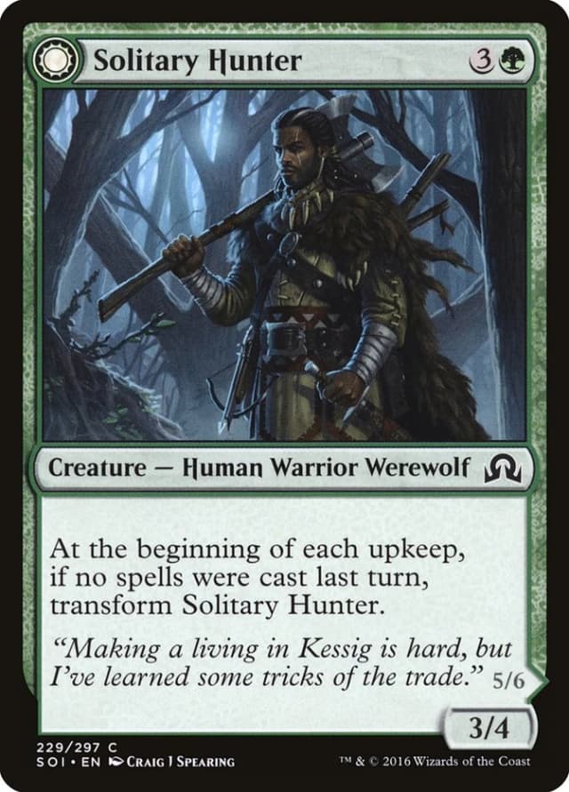 Solitary Hunter // One of the Pack image