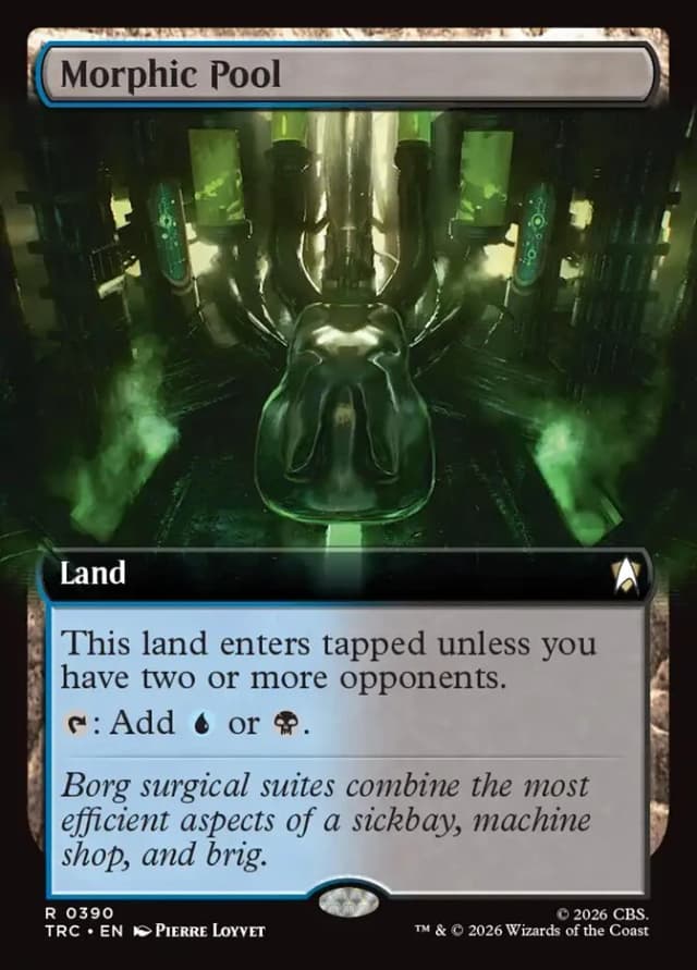 Morphic Pool image