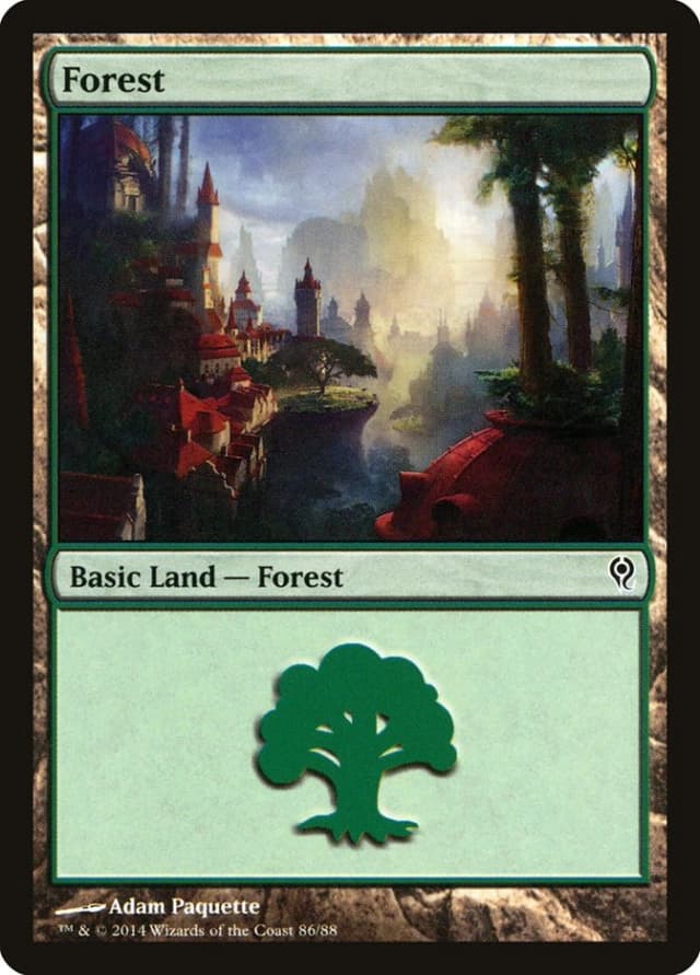 Forest image