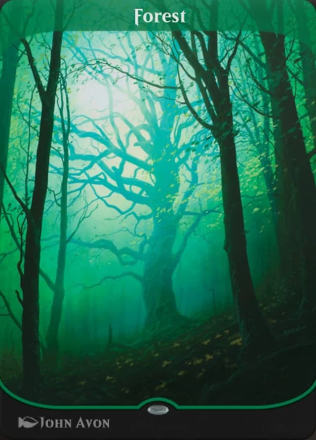 Forest image