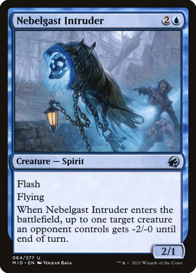 Nebelgast Intruder image
