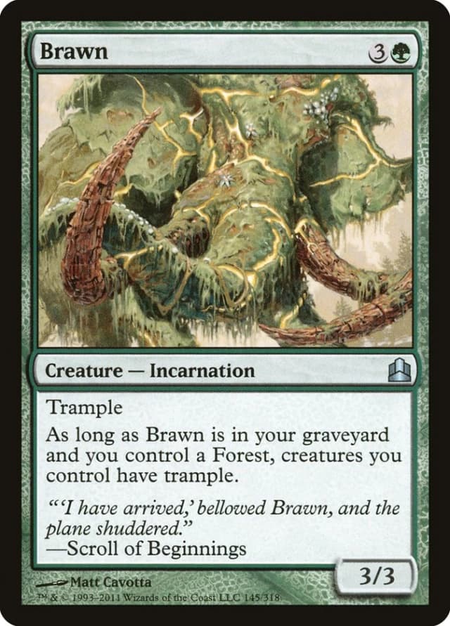 Brawn image