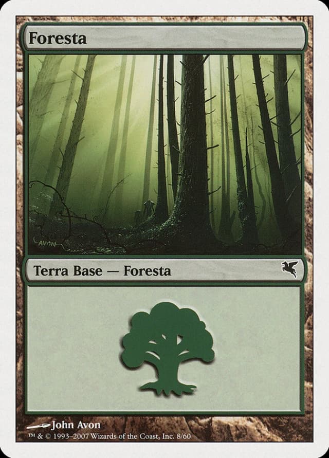 Forest image