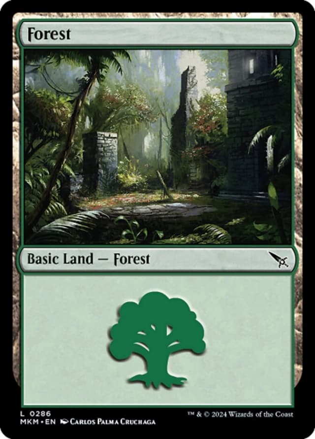 Forest image