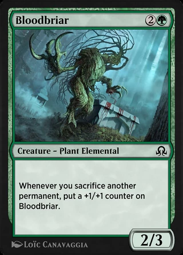 Bloodbriar image
