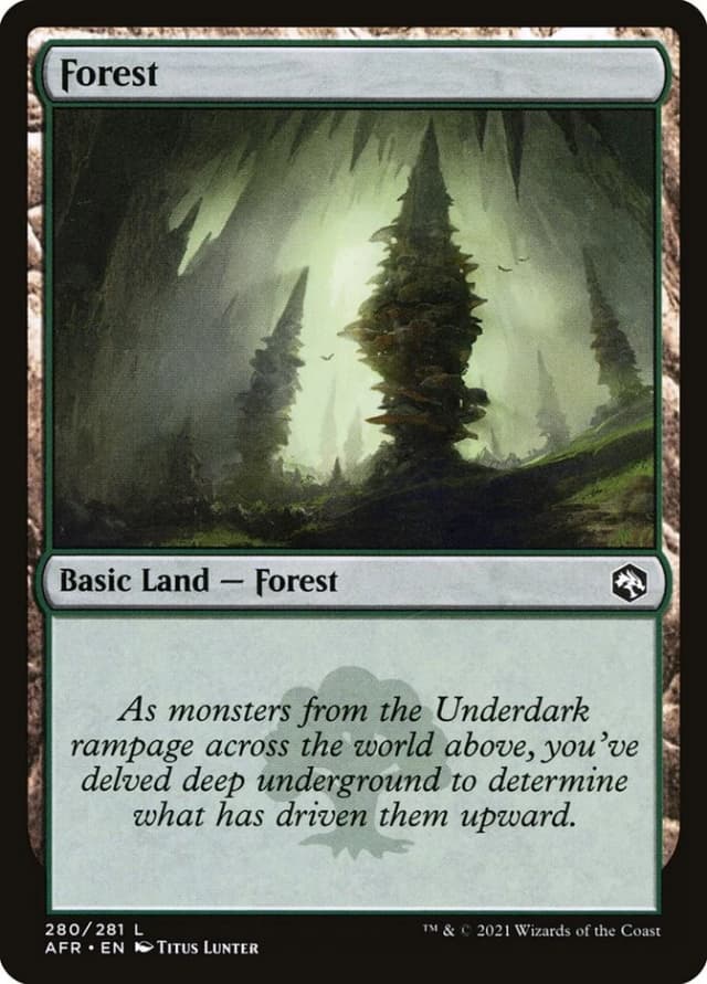 Forest image