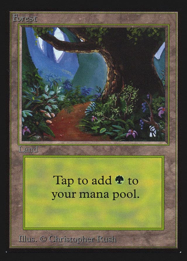 Forest image