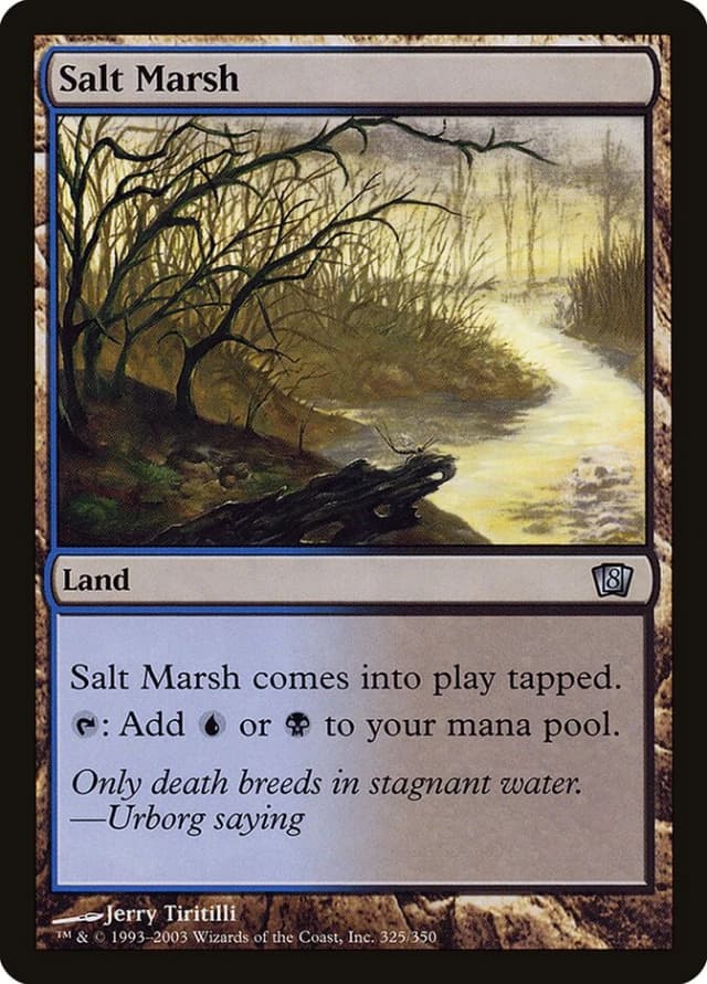Salt Marsh image