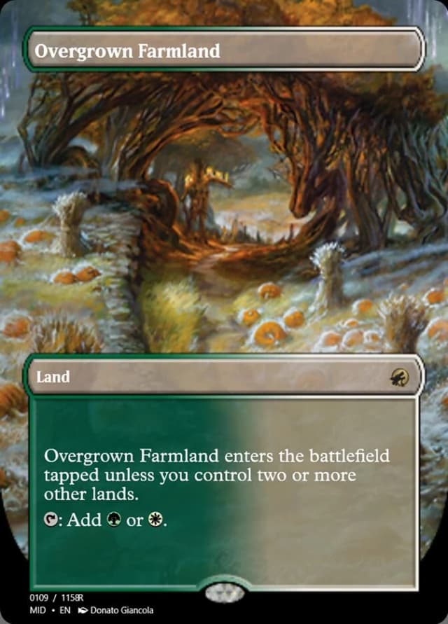 Overgrown Farmland image