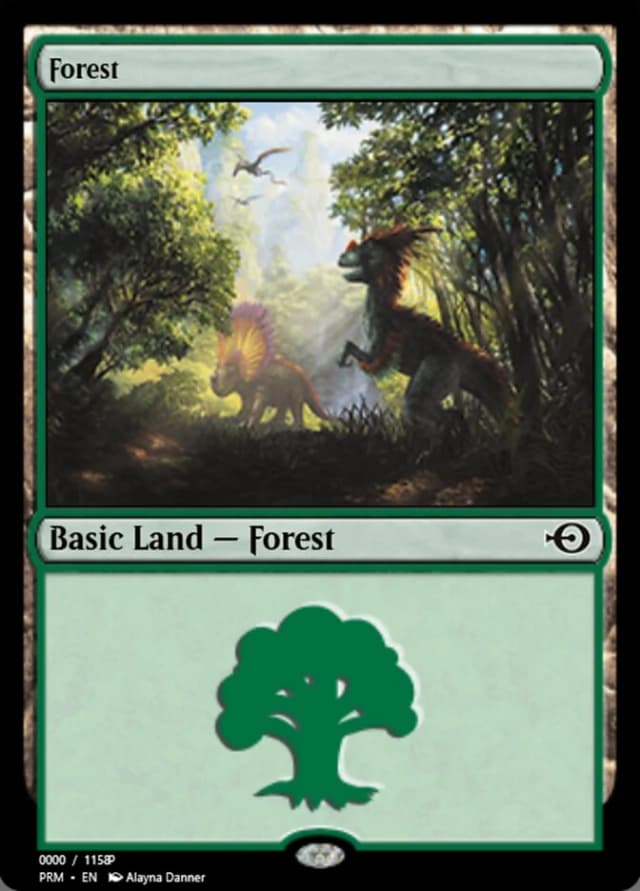Forest image