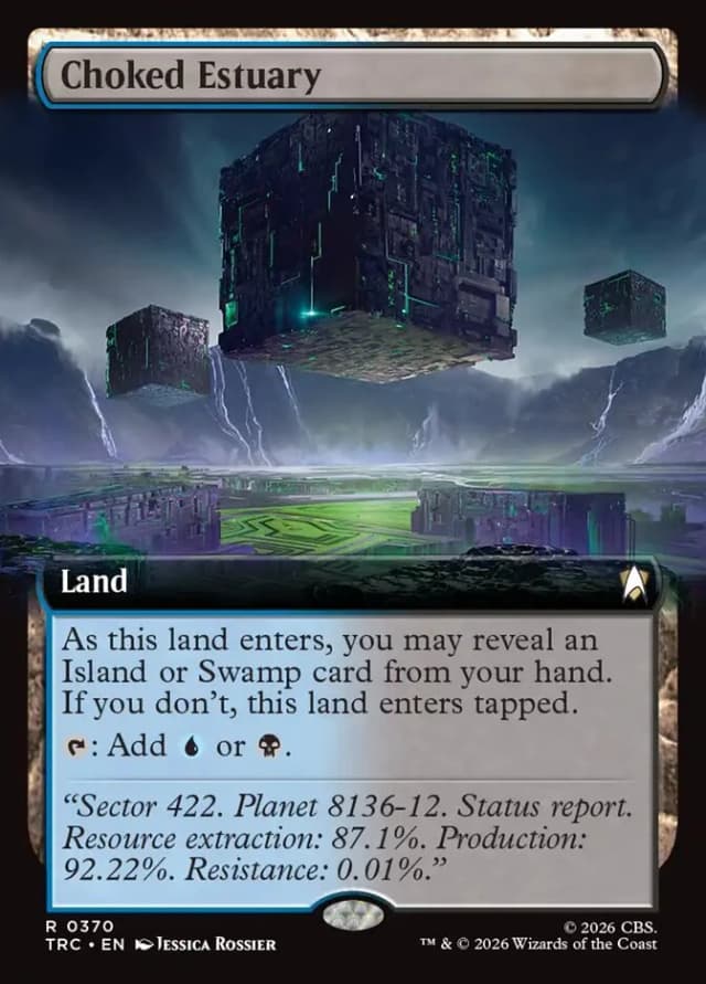 Choked Estuary image