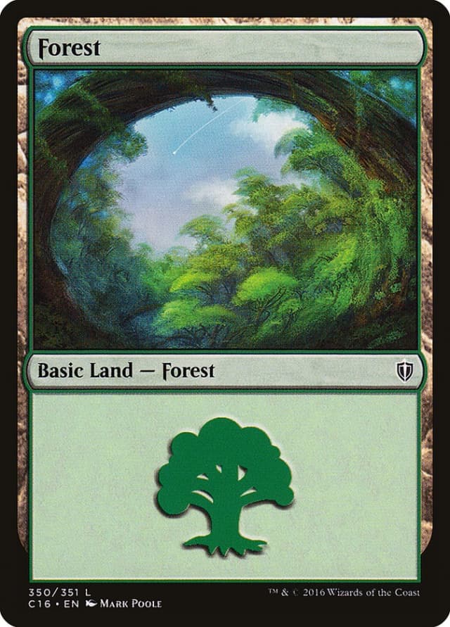 Forest image
