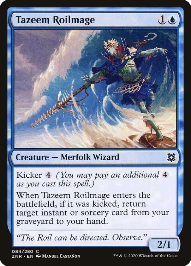 Tazeem Roilmage image