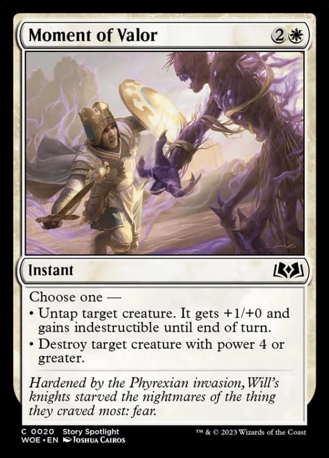 Moment of Valor image