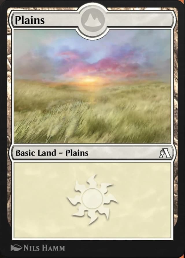 Plains image