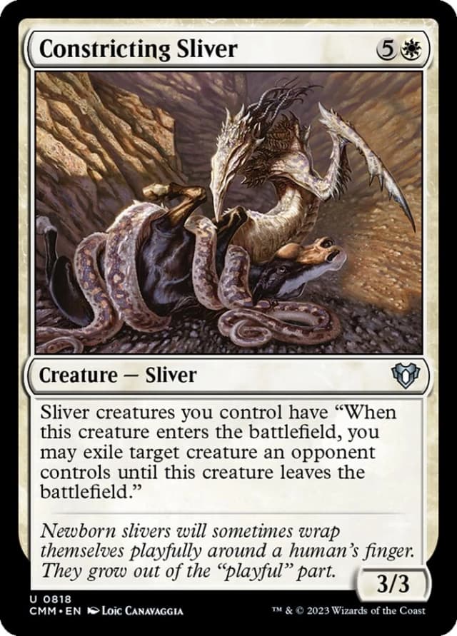 Constricting Sliver image
