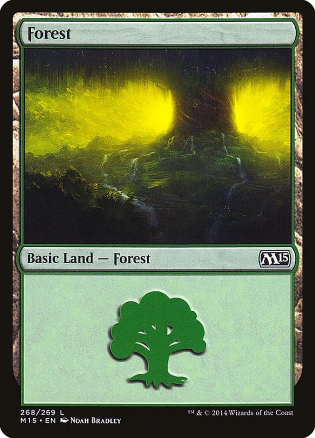 Forest image