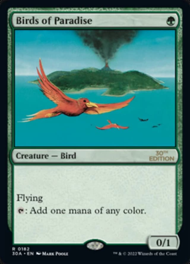 Birds of Paradise image