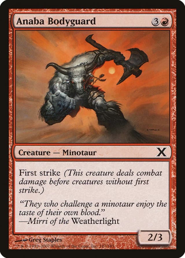 Anaba Bodyguard image